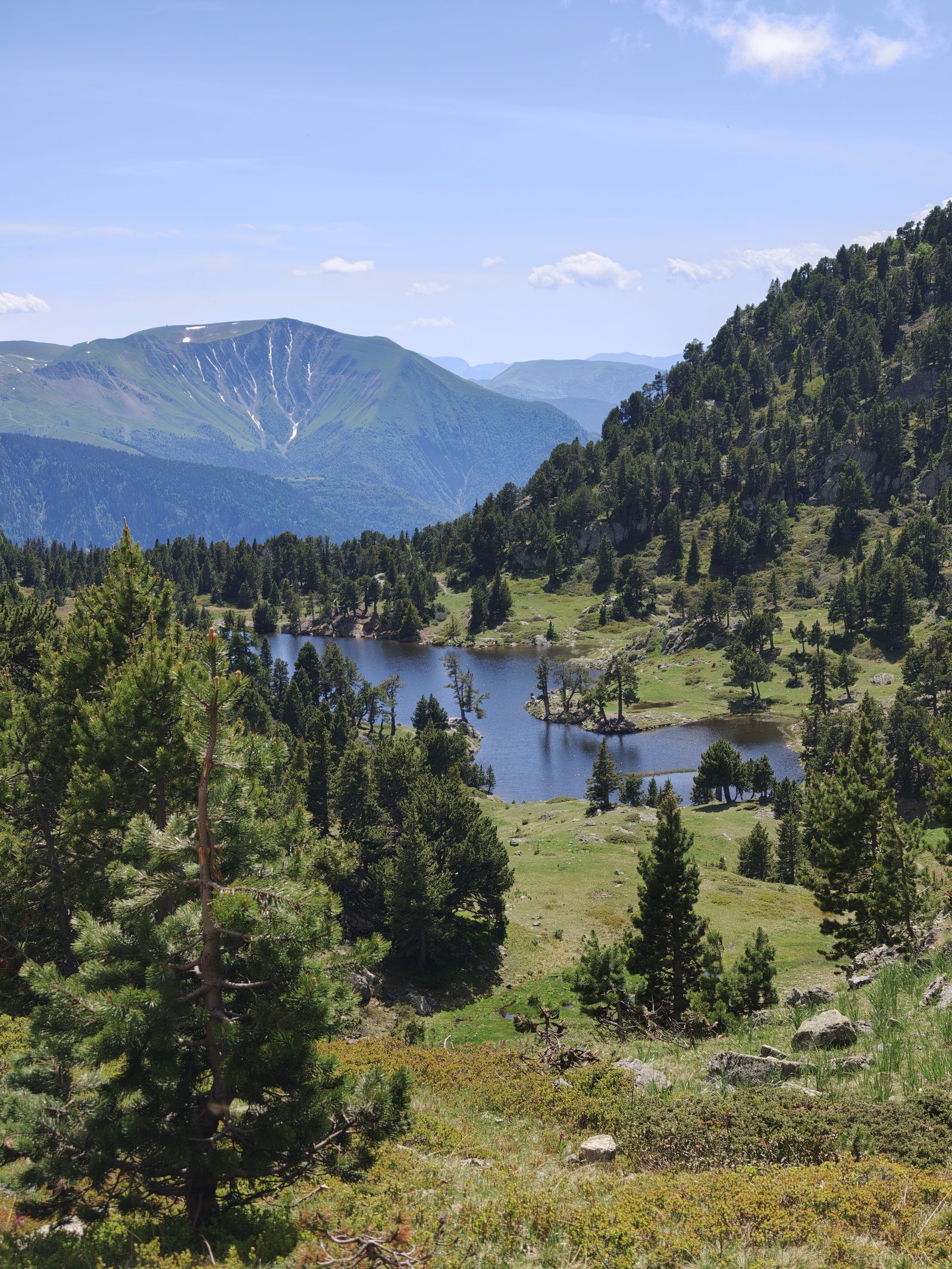 Le lac Achard en juin, ses îlots de pins