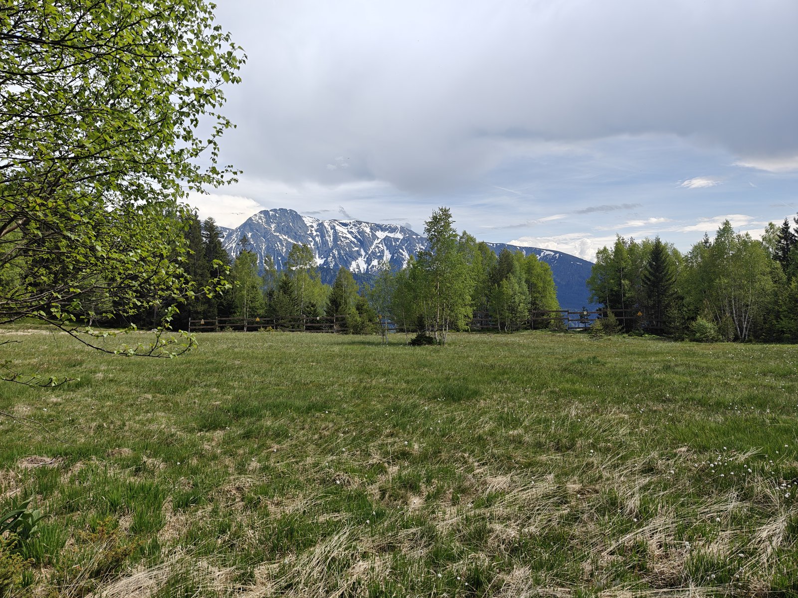 La prairie de l'Arselle au printemps, sous les sommets encore enneigés