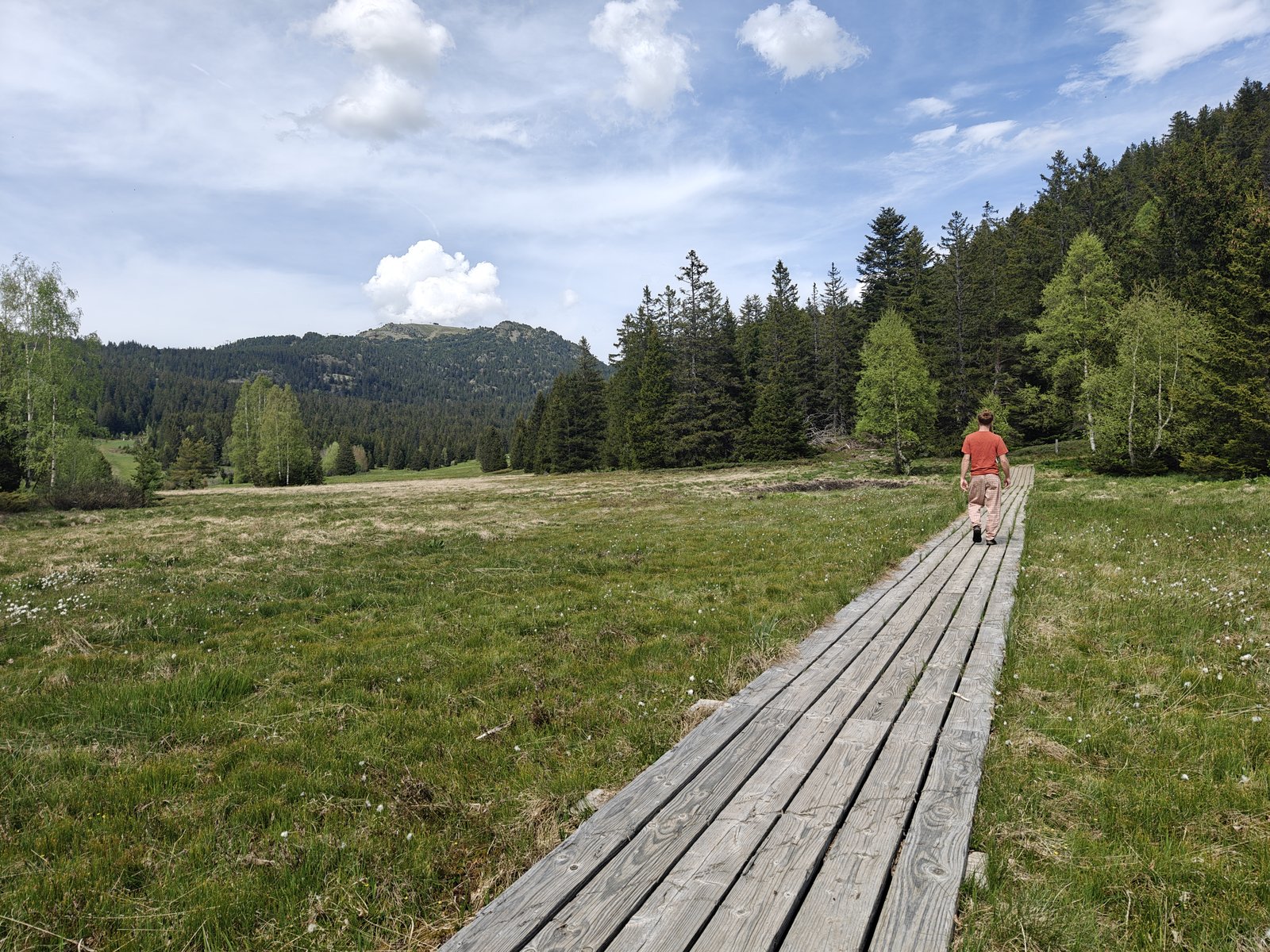 Le sentier sur caillebotis qui traverse la tourbière de l'Arselle